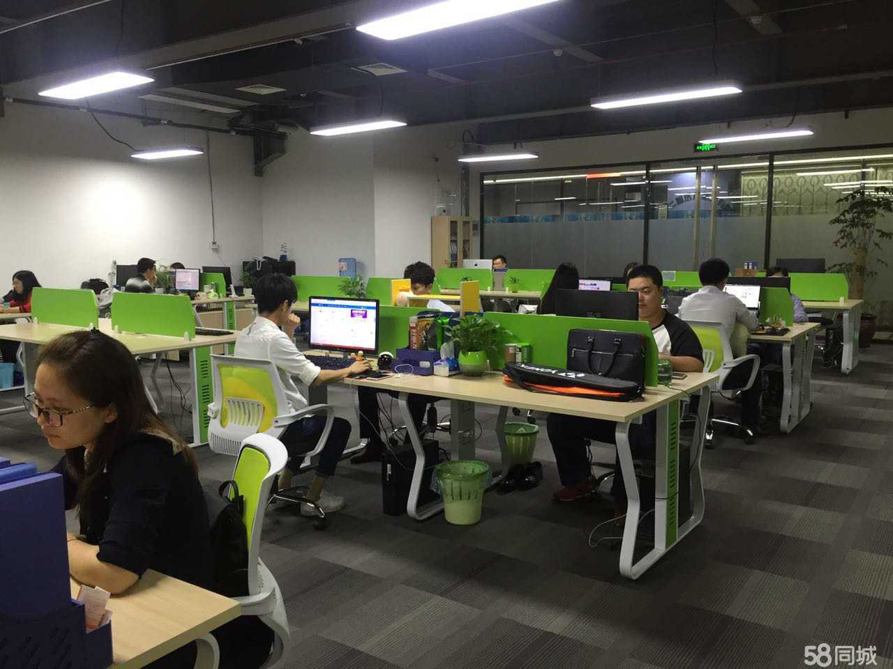 厦门市派淘网络科技 深耕厦门，引领信息服务新浪潮